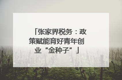 张家界税务：政策赋能育好青年创业“金种子”