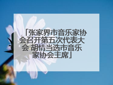 张家界市音乐家协会召开第五次代表大会 胡情当选市音乐家协会主席