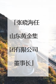 张晓海任山东黄金集团有限公司董事长