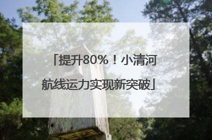 提升80％！小清河航线运力实现新突破