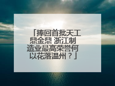 捧回首批天工鼎金鼎 浙江制造业最高荣誉何以花落温州？