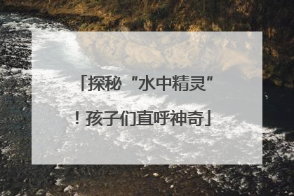 探秘“水中精灵”！孩子们直呼神奇