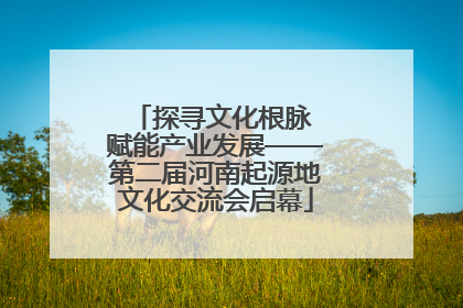探寻文化根脉 赋能产业发展——第二届河南起源地文化交流会启幕