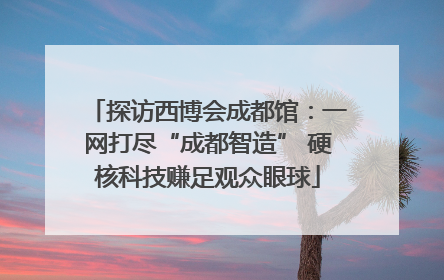 探访西博会成都馆：一网打尽“成都智造” 硬核科技赚足观众眼球
