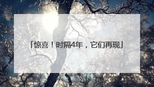 惊喜！时隔4年，它们再现