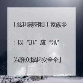 慈利县阳和土家族乡：以“迅”应“汛” 为群众撑起安全伞