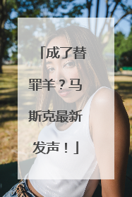 成了替罪羊？马斯克最新发声！
