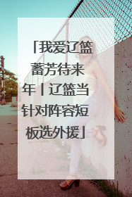 我爱辽篮 蓄芳待来年丨辽篮当针对阵容短板选外援