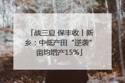 战三夏 保丰收丨新乡：中低产田“逆袭” 亩均增产15%