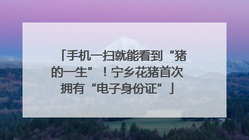手机一扫就能看到“猪的一生”！宁乡花猪首次拥有“电子身份证”