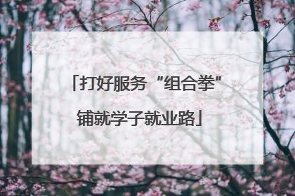 打好服务“组合拳” 铺就学子就业路
