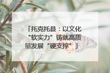 托克托县：以文化“软实力”铸就高质量发展“硬支撑”