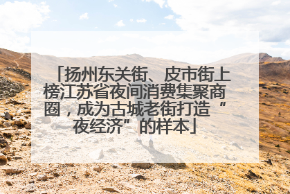 扬州东关街、皮市街上榜江苏省夜间消费集聚商圈，成为古城老街打造“夜经济”的样本
