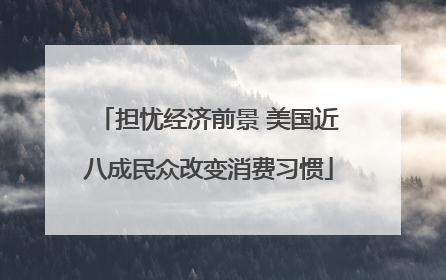 担忧经济前景 美国近八成民众改变消费习惯