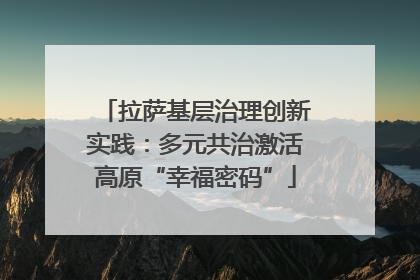 拉萨基层治理创新实践：多元共治激活高原“幸福密码”