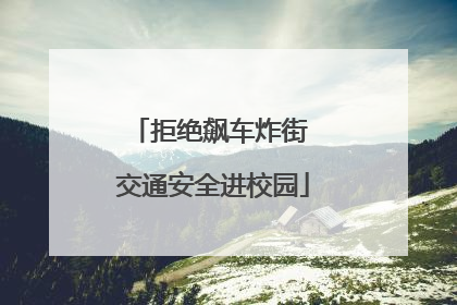 拒绝飙车炸街 交通安全进校园