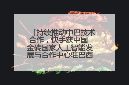 持续推动中巴技术合作，快手获中国-金砖国家人工智能发展与合作中心驻巴西成果转化中心授牌