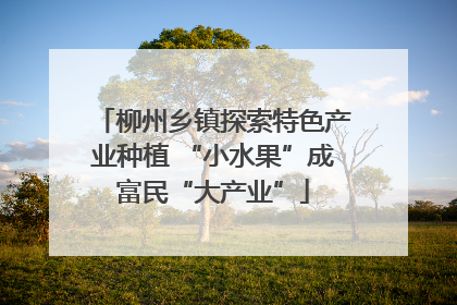 柳州乡镇探索特色产业种植 “小水果”成富民“大产业”