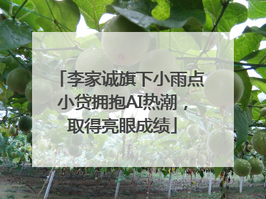 李家诚旗下小雨点小贷拥抱AI热潮，取得亮眼成绩