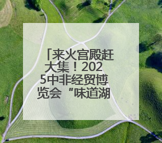来火宫殿赶大集！2025中非经贸博览会“味道湖南”美食市集开启