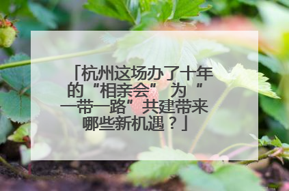 杭州这场办了十年的“相亲会” 为“一带一路”共建带来哪些新机遇？