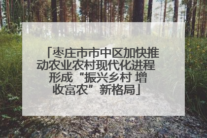 枣庄市市中区加快推动农业农村现代化进程 形成“振兴乡村 增收富农”新格局