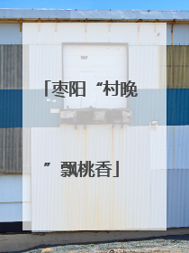 枣阳“村晚”飘桃香