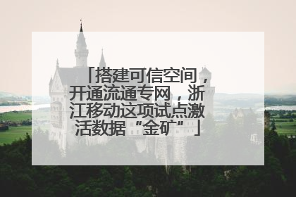 搭建可信空间，开通流通专网，浙江移动这项试点激活数据“金矿”