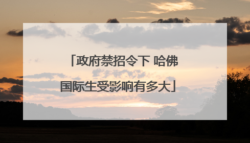 政府禁招令下 哈佛国际生受影响有多大