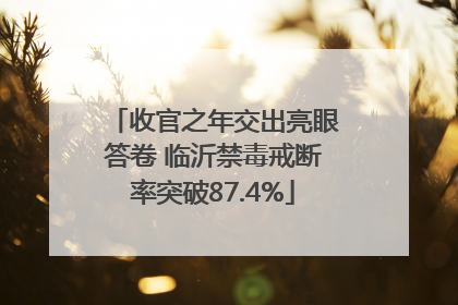 收官之年交出亮眼答卷 临沂禁毒戒断率突破87.4%