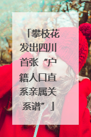 攀枝花发出四川首张“户籍人口直系亲属关系谱”
