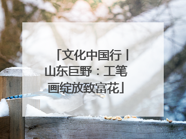 文化中国行丨山东巨野：工笔画绽放致富花