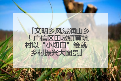 文明乡风浸润山乡！广信区田墩镇黄坑村以“小切口”绘就乡村振兴大图景