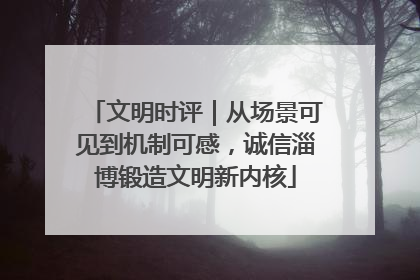 文明时评｜从场景可见到机制可感，诚信淄博锻造文明新内核