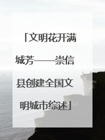 文明花开满城芳——崇信县创建全国文明城市综述