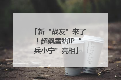 新“战友”来了！超飒雪豹IP“兵小宁”亮相