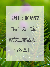新田：矿坑变“废”为“宝” 释放生态活力与效益