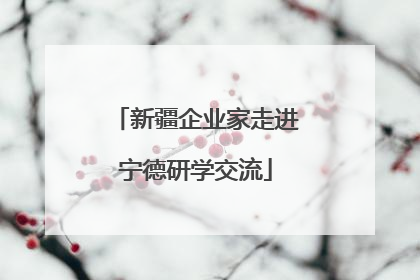 新疆企业家走进宁德研学交流