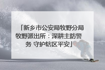 新乡市公安局牧野分局牧野派出所：深耕主防警务 守护辖区平安