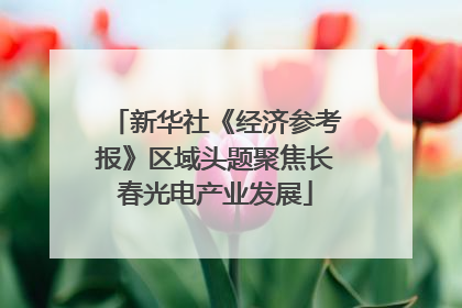 新华社《经济参考报》区域头题聚焦长春光电产业发展