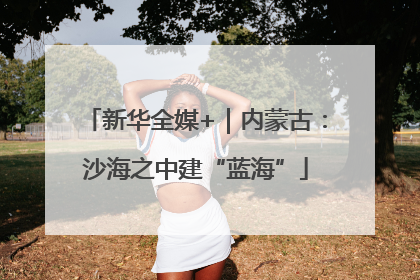 新华全媒+｜内蒙古：沙海之中建“蓝海”