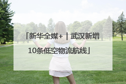 新华全媒+｜武汉新增10条低空物流航线