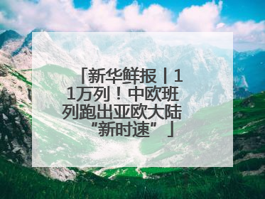 新华鲜报丨11万列！中欧班列跑出亚欧大陆“新时速”