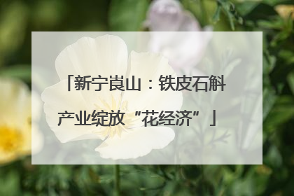 新宁崀山：铁皮石斛产业绽放“花经济”