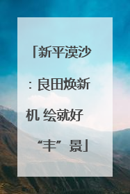 新平漠沙：良田焕新机 绘就好“丰”景