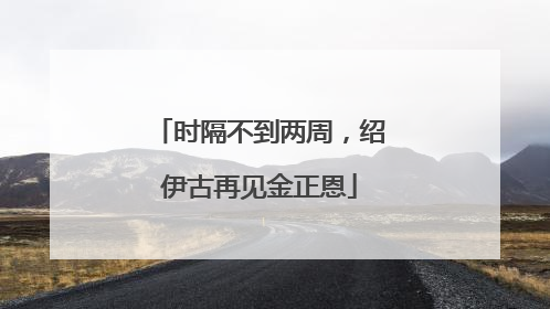 时隔不到两周，绍伊古再见金正恩