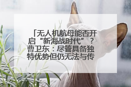 无人机航母能否开启“新海战时代”？曹卫东：尽管具备独特优势但仍无法与传统航母相提并论