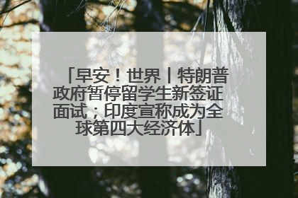 早安！世界丨特朗普政府暂停留学生新签证面试；印度宣称成为全球第四大经济体