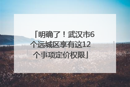 明确了！武汉市6个远城区享有这12个事项定价权限
