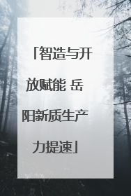 智造与开放赋能 岳阳新质生产力提速
